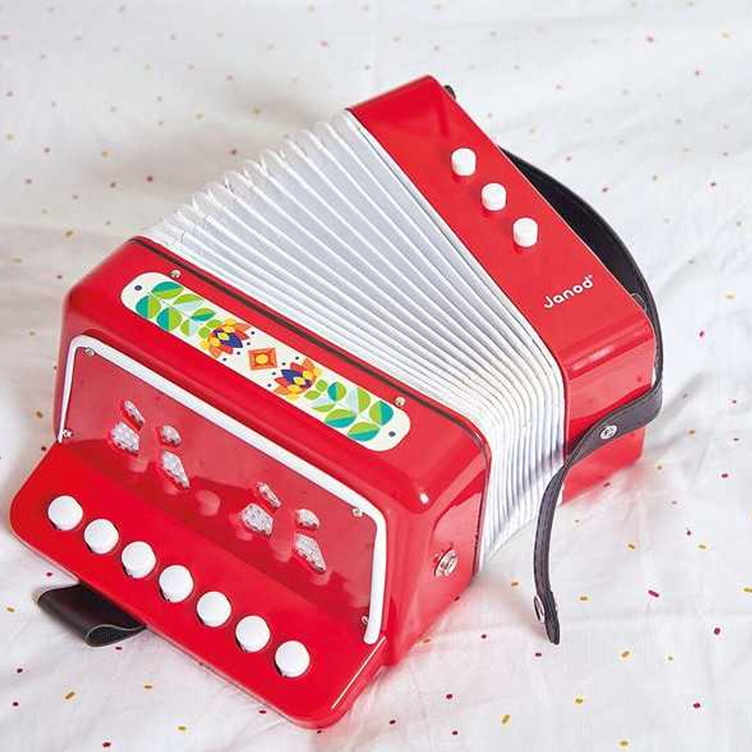 JANOD GIOIA - Accordéon – Image 4
