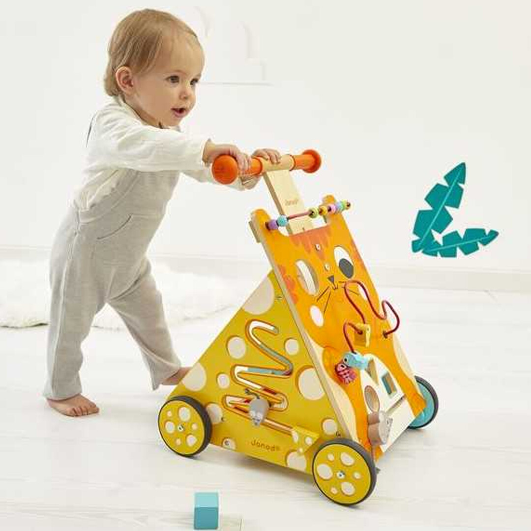 JANOD Chariot Multi-Activités Chat