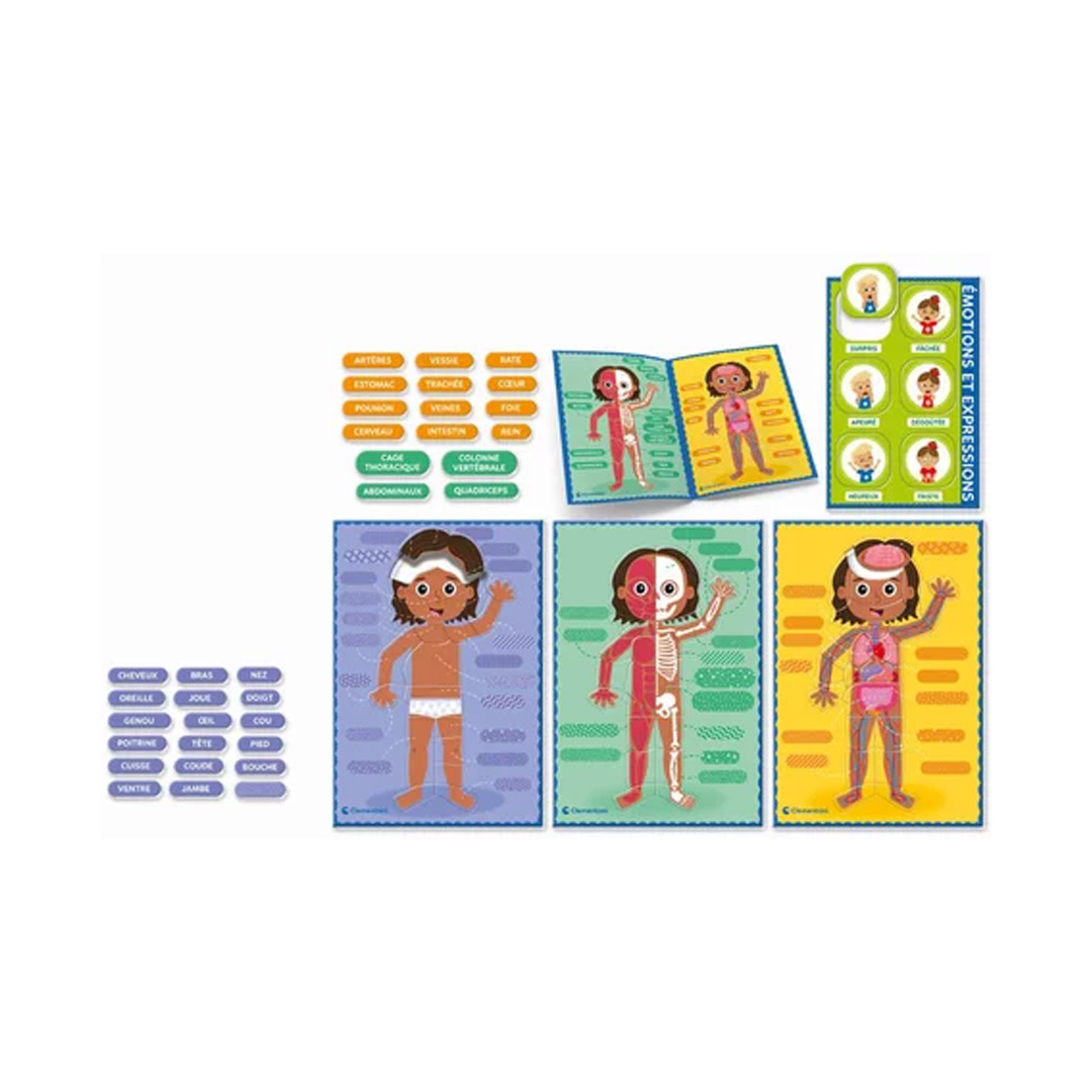 Le corps humain Montessori – Image 2