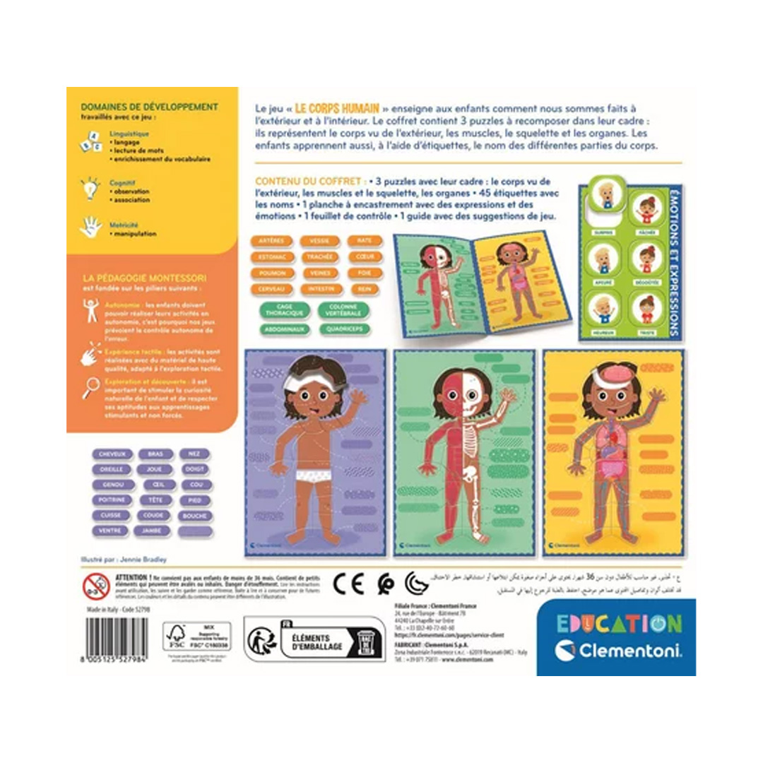 Le corps humain Montessori – Image 3