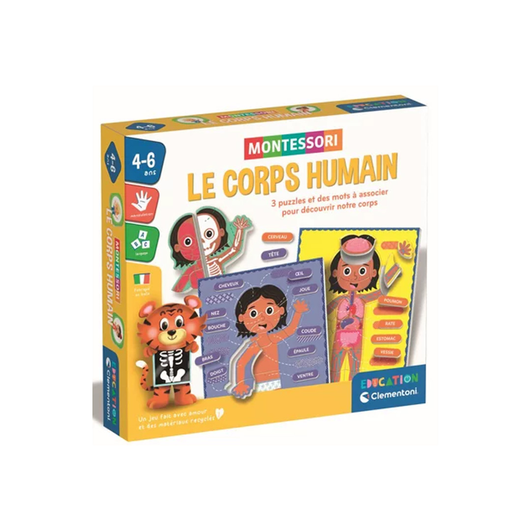 Le corps humain Montessori
