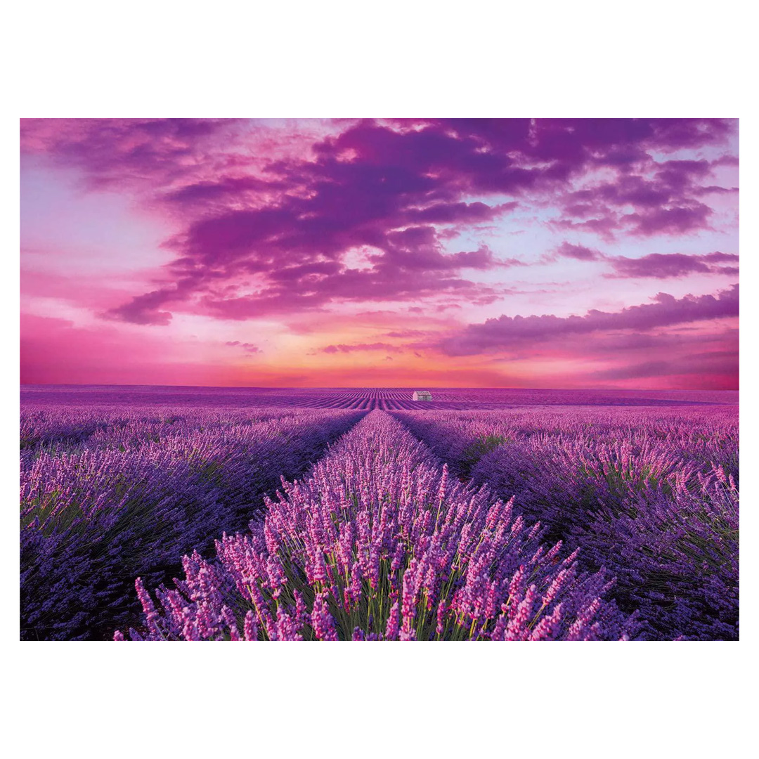 Clementoni - Puzzle 1000 pcs - Champ de Lavande – Image 3
